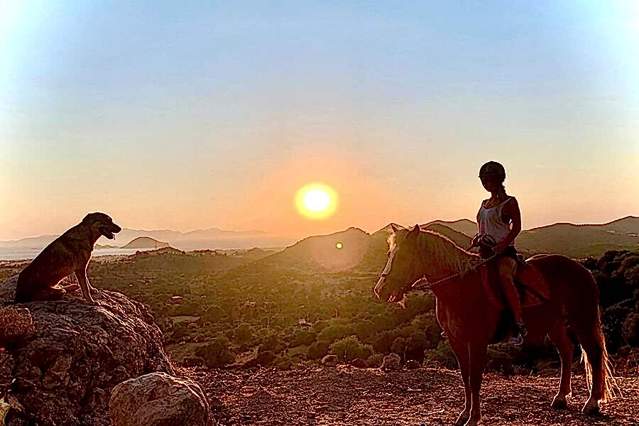 Bodrum’un doğasını at sırtında keşfedin